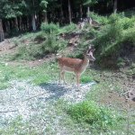 phoca_thumb_m_vp 2.den 19 Fotogalerie